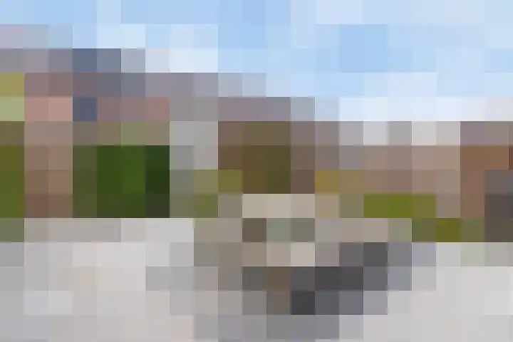 Venrode 58 Waalwijk thumbnail 21