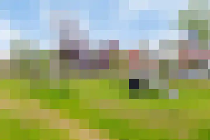 Venrode 58 Waalwijk thumbnail 24
