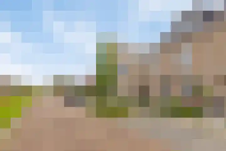 Venrode 58 Waalwijk thumbnail 4