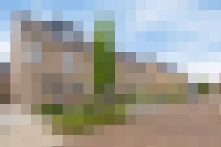 Venrode 58 Waalwijk thumbnail 5