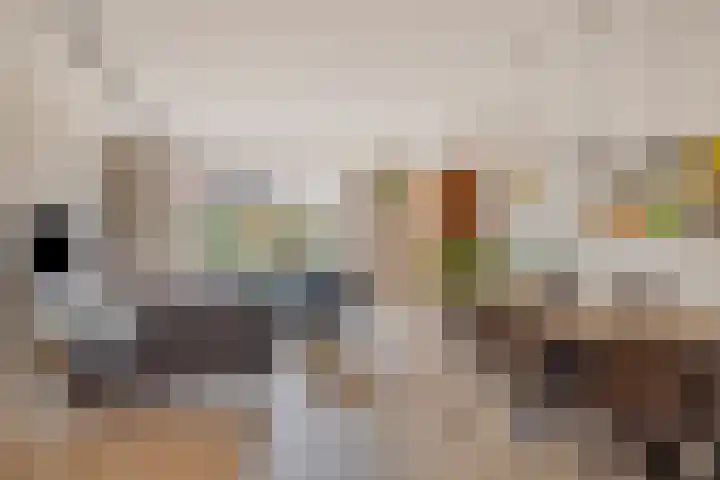 Venrode 58 Waalwijk thumbnail 7