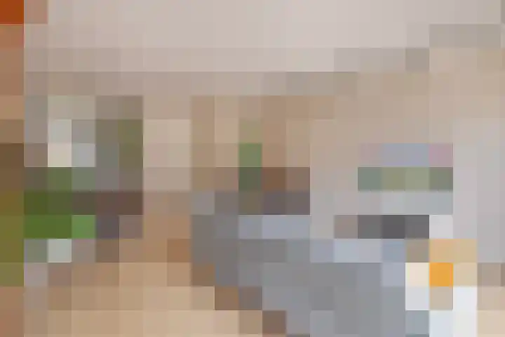 Venrode 58 Waalwijk thumbnail 9