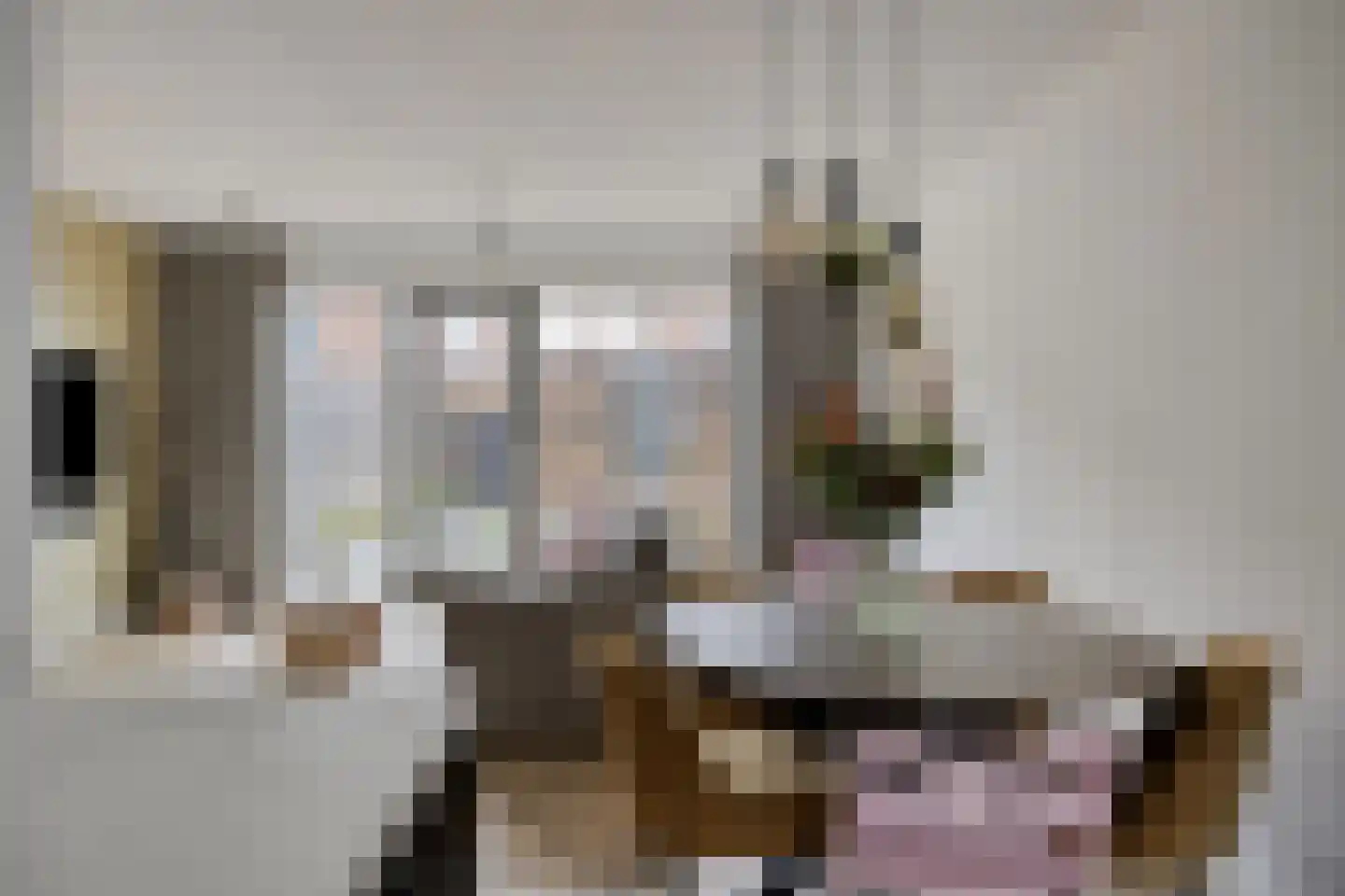 Venrode 62 Waalwijk thumbnail 18