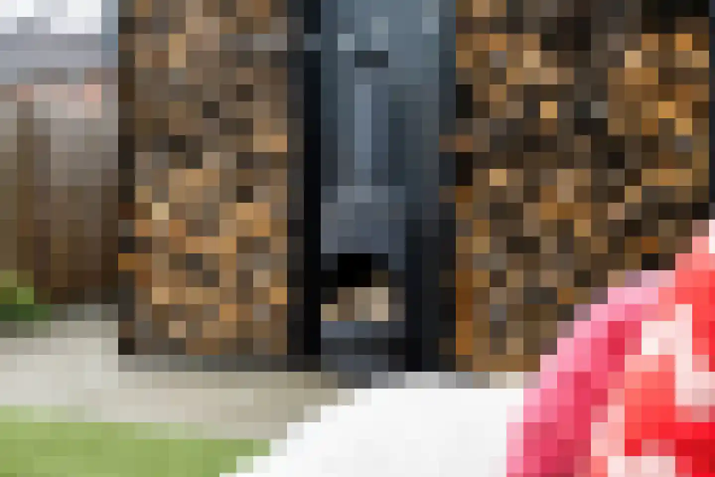 Venrode 62 Waalwijk thumbnail 33
