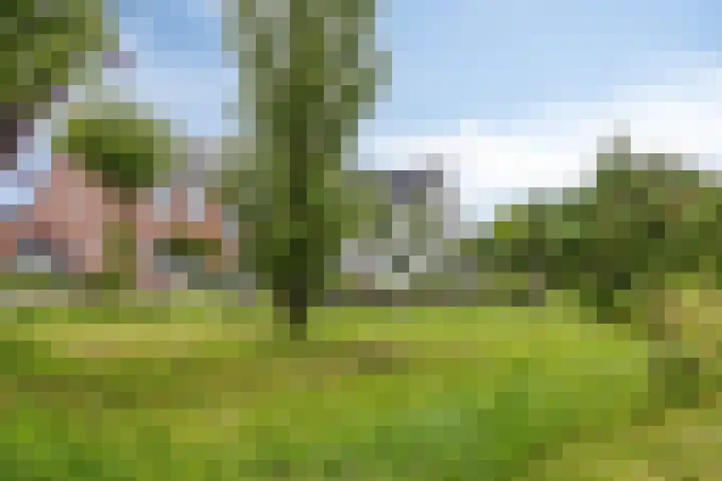Venrode 62 Waalwijk thumbnail 37