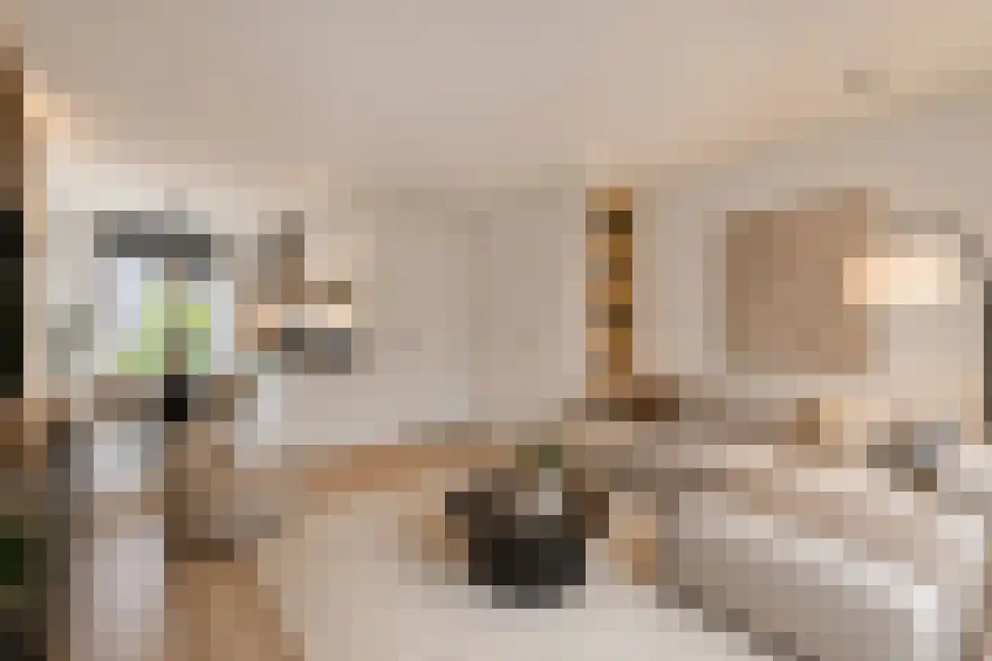 Venrode 64 Waalwijk thumbnail 4