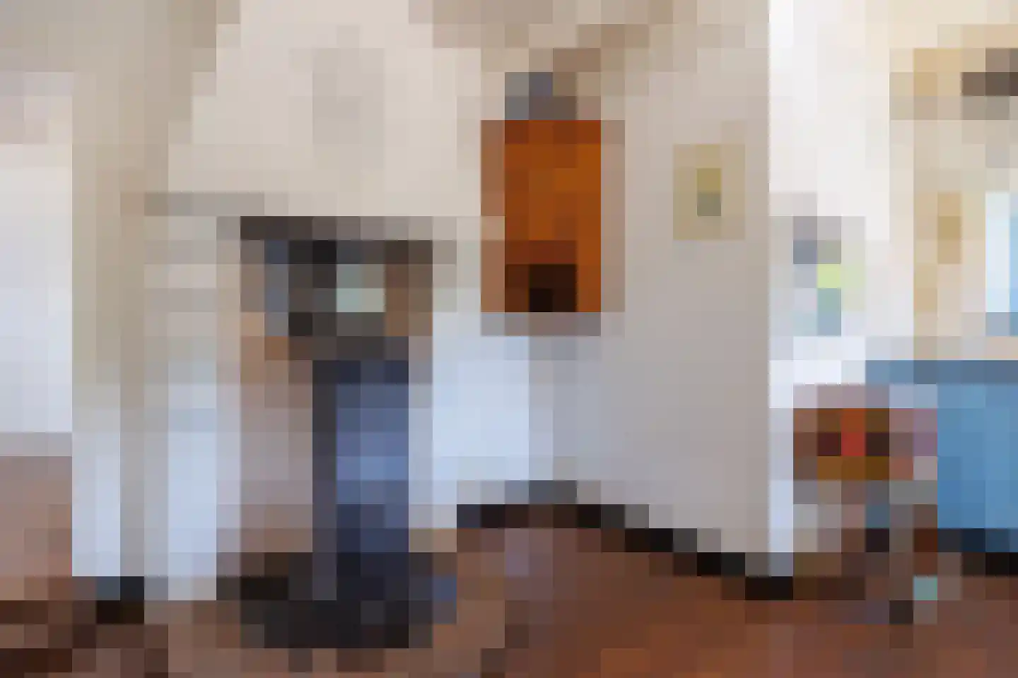 Vensestraat 31 Ven-Zelderheide thumbnail 19