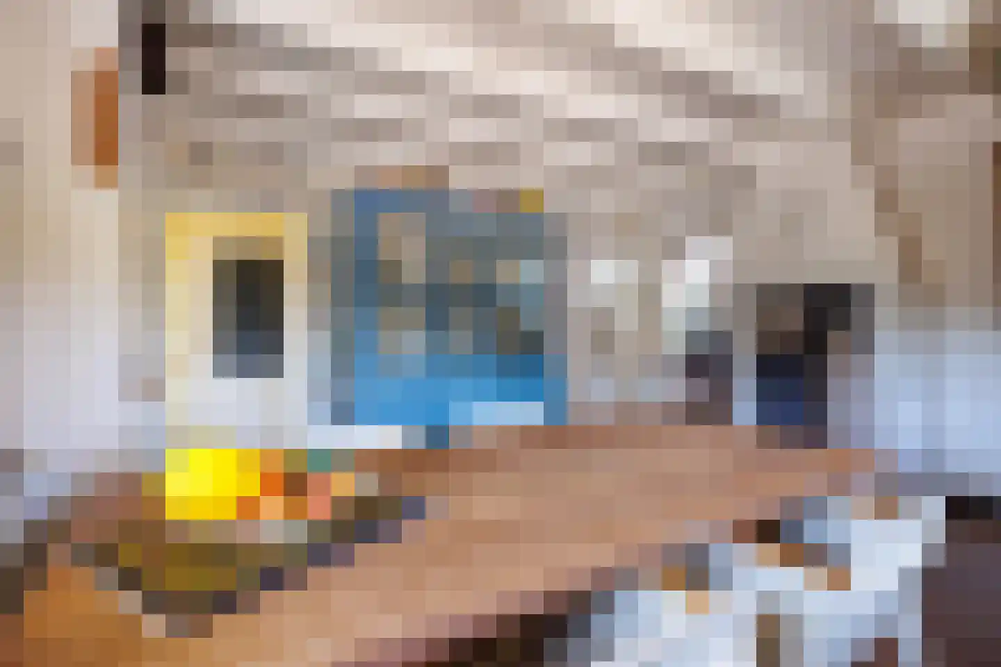 Vensestraat 31 Ven-Zelderheide thumbnail 23