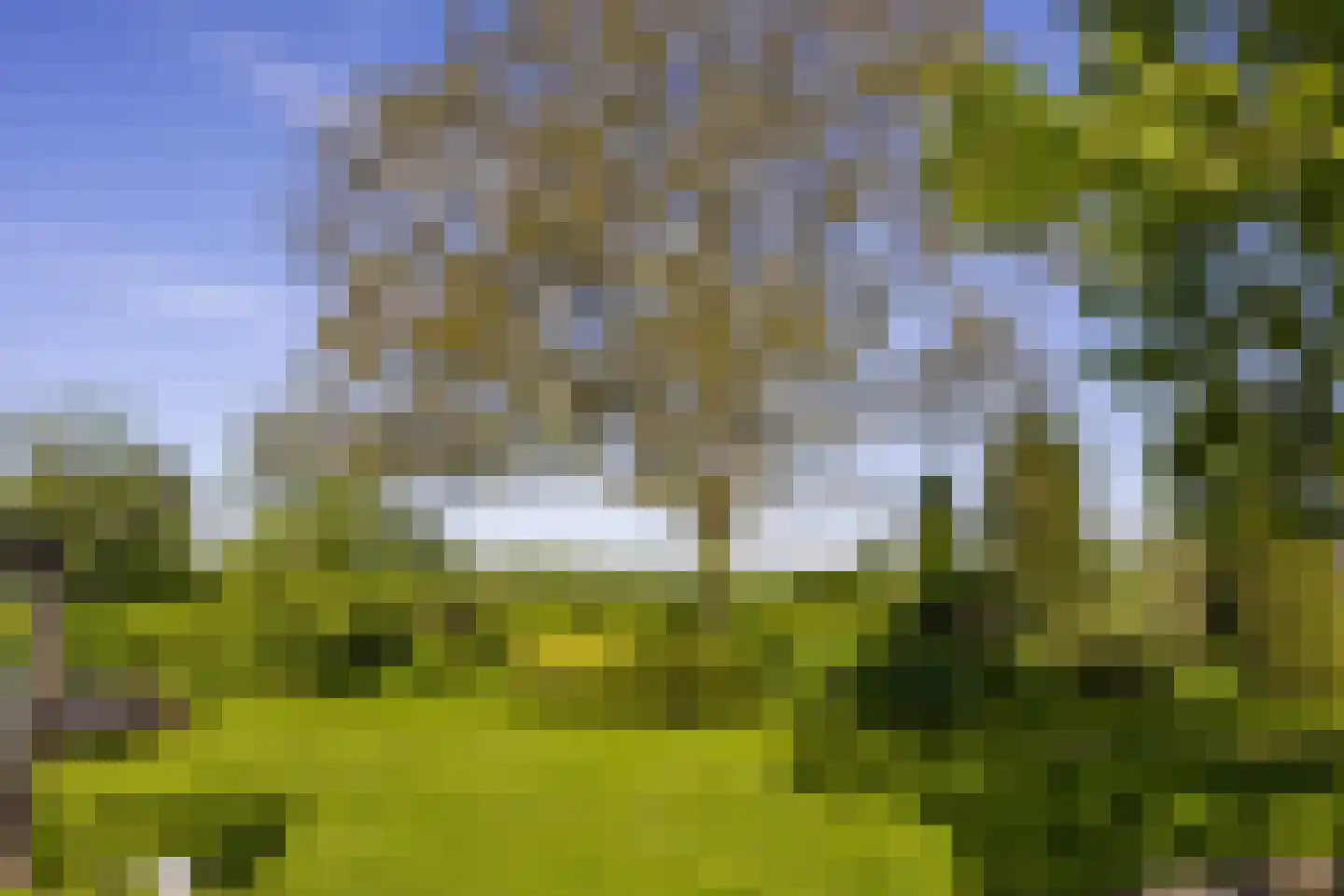 Vensestraat 31 Ven-Zelderheide thumbnail 61
