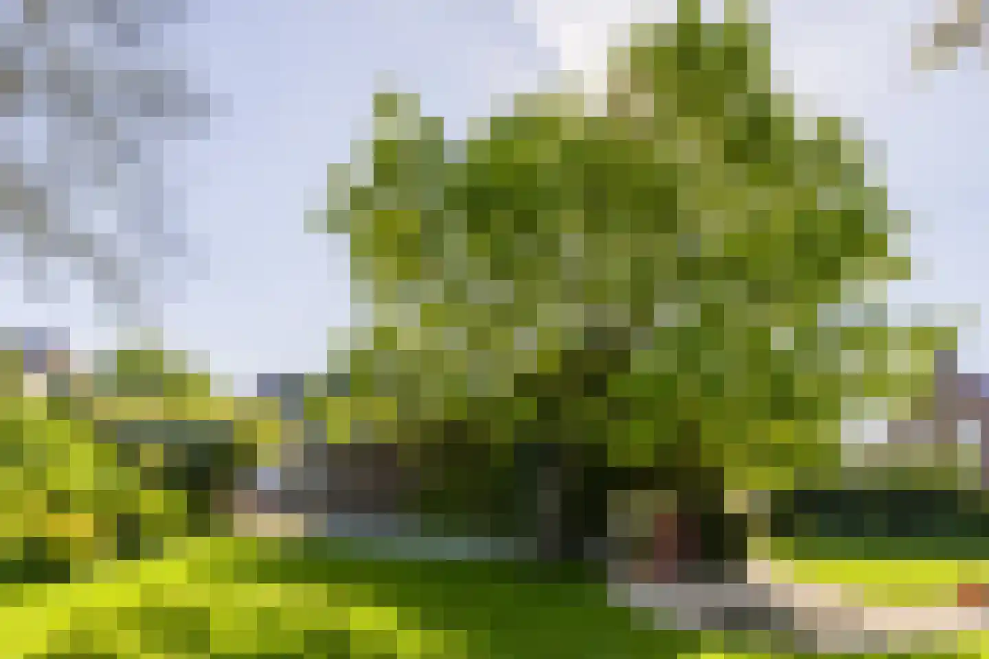 Vensestraat 31 Ven-Zelderheide thumbnail 63