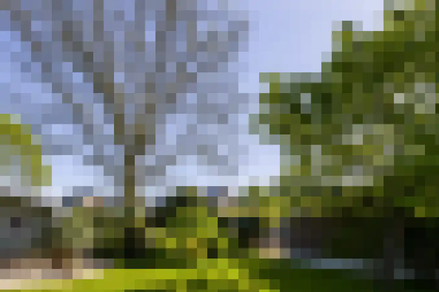 Vensestraat 31 Ven-Zelderheide thumbnail 64