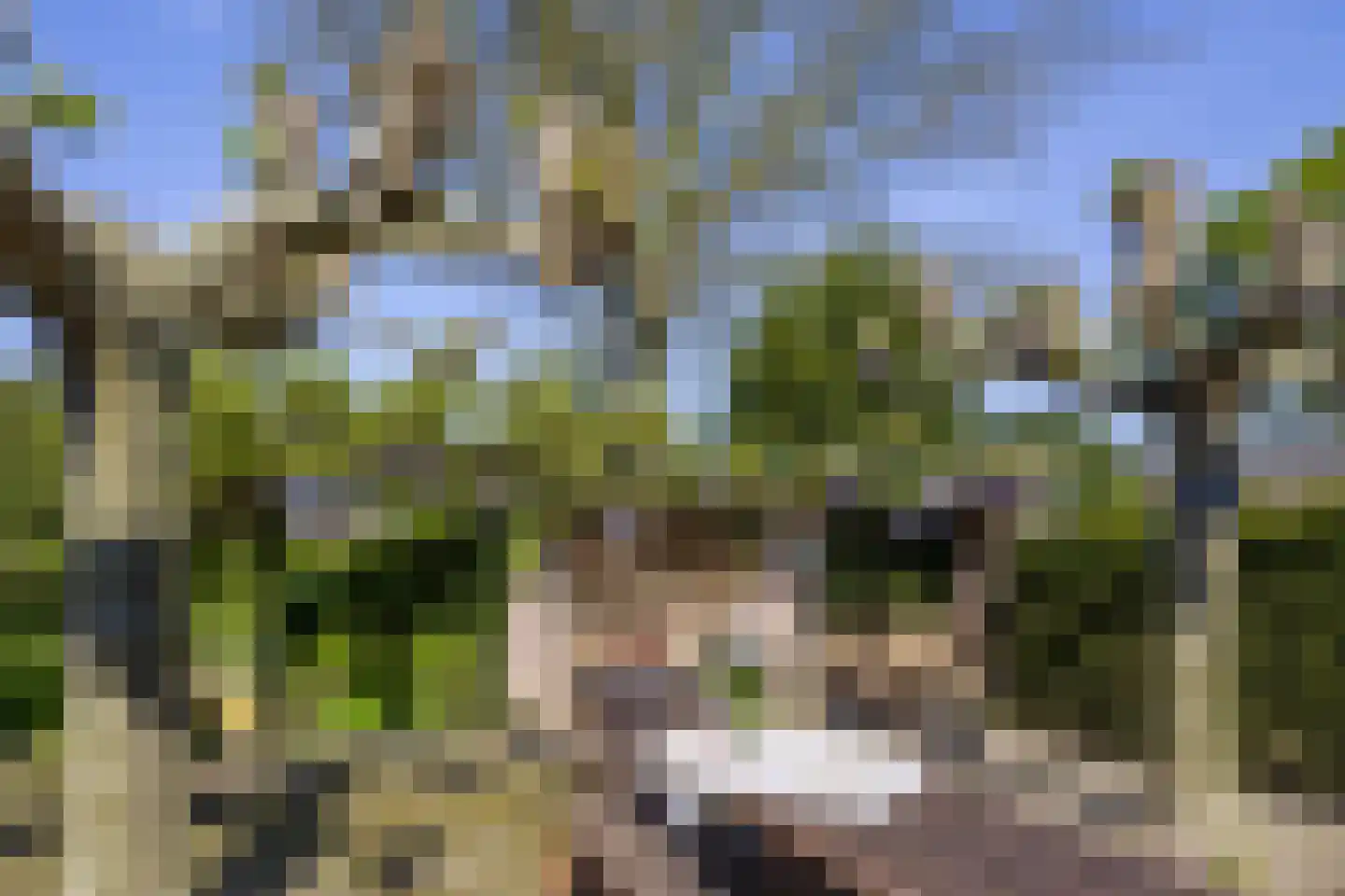 Vensestraat 31 Ven-Zelderheide thumbnail 65