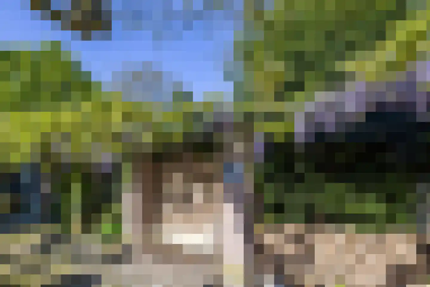 Vensestraat 31 Ven-Zelderheide thumbnail 67