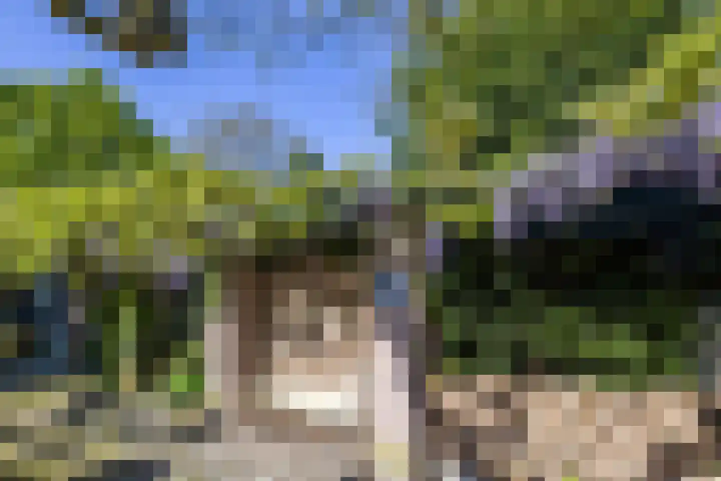 Vensestraat 31 Ven-Zelderheide thumbnail 67