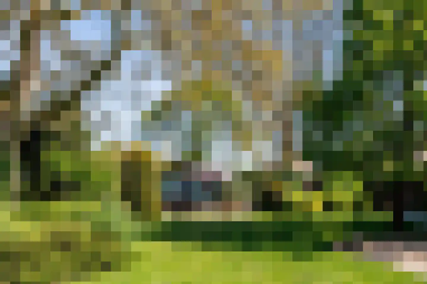 Vensestraat 31 Ven-Zelderheide thumbnail 76