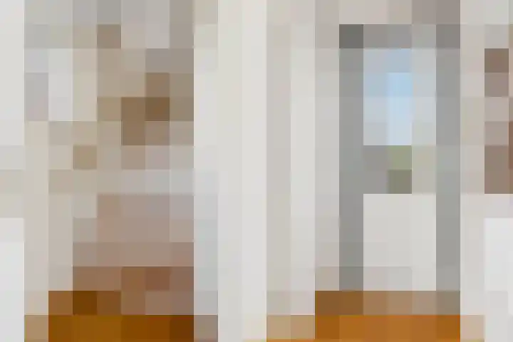 Vensestraat 34 Ven-Zelderheide thumbnail 19