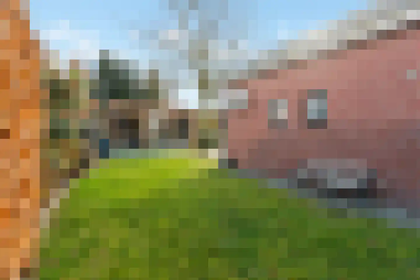 Vensestraat 34 Ven-Zelderheide thumbnail 31
