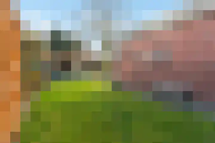 Vensestraat 34 Ven-Zelderheide thumbnail 32