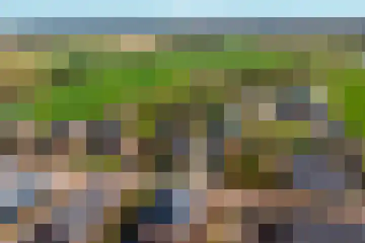 Vensestraat 34 Ven-Zelderheide thumbnail 5