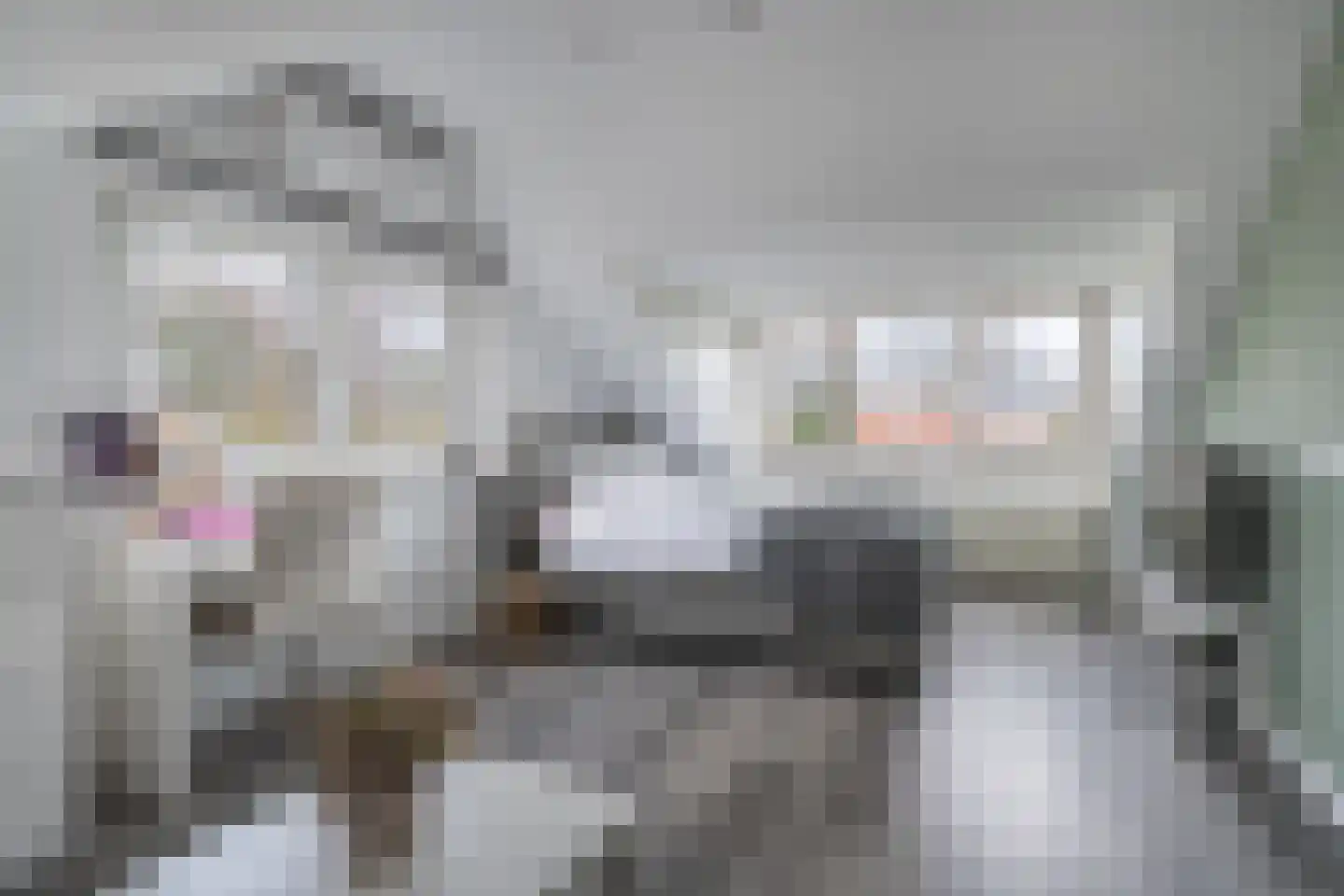 Venstraat 13 Rosmalen thumbnail 23