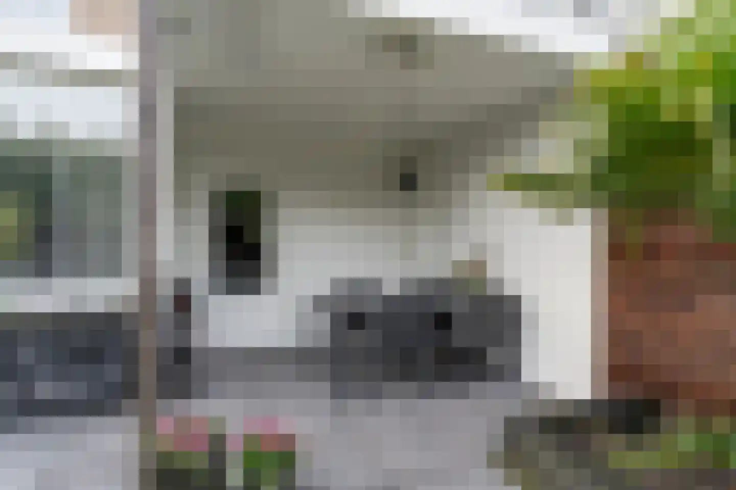 Venstraat 13 Rosmalen thumbnail 24