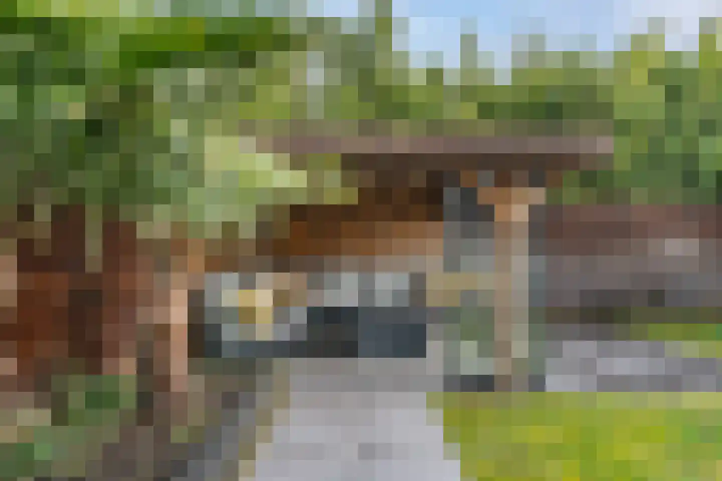 Venstraat 13 Rosmalen thumbnail 26