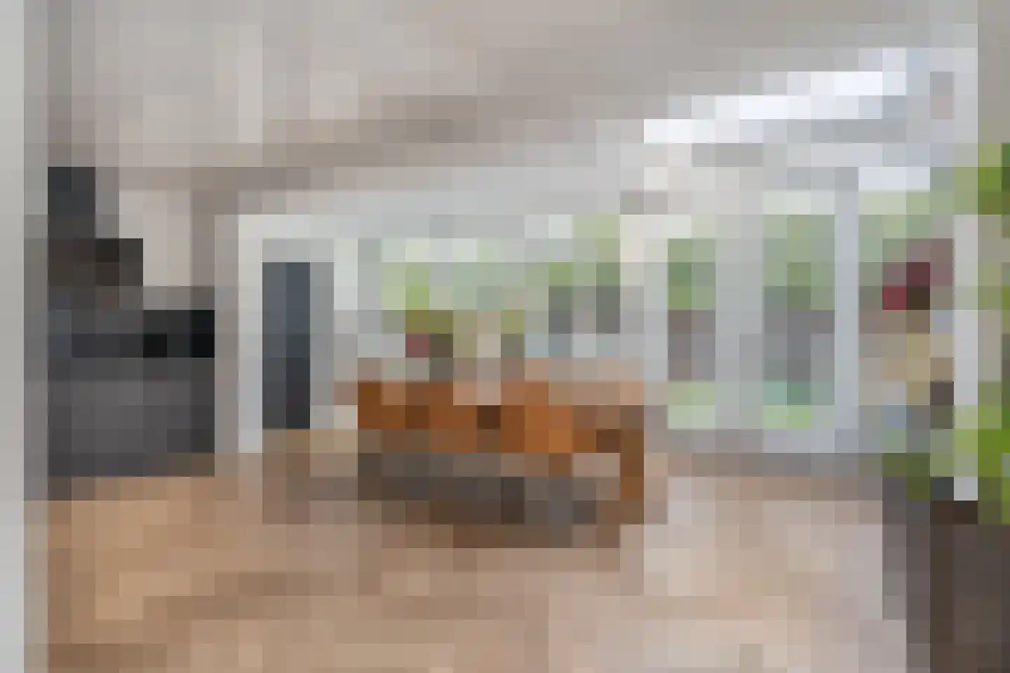 Venstraat 13 Rosmalen thumbnail 7