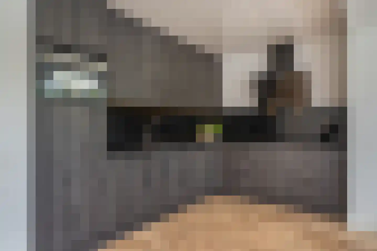 Venstraat 13 Rosmalen thumbnail 8