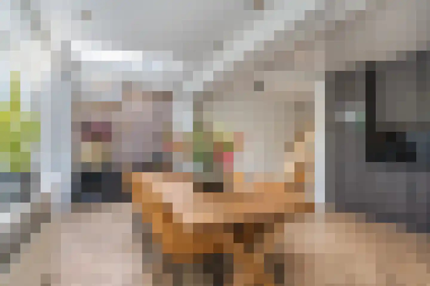 Venstraat 13 Rosmalen thumbnail 9