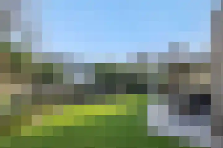 Venstraat 15 Rosmalen thumbnail 33