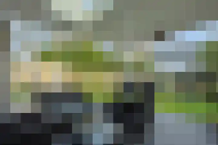 Venstraat 15 Rosmalen thumbnail 34