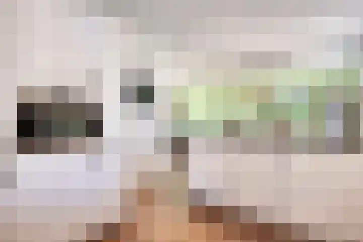 Venstraat 7 Beers NB thumbnail 18