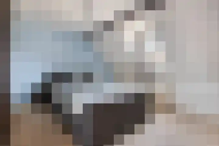 Venstraat 7 Beers NB thumbnail 23