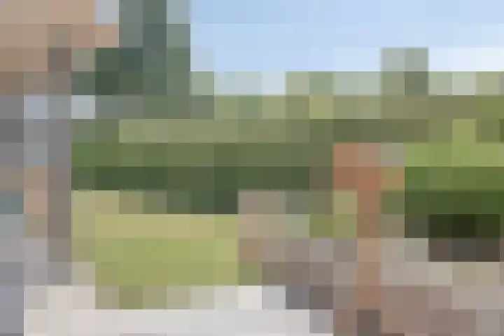Venstraat 7 Beers NB thumbnail 32