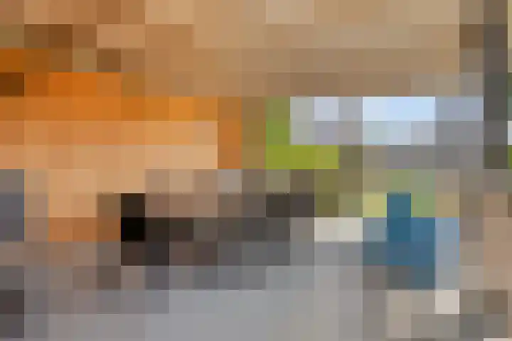 Venstraat 7 Beers NB thumbnail 33