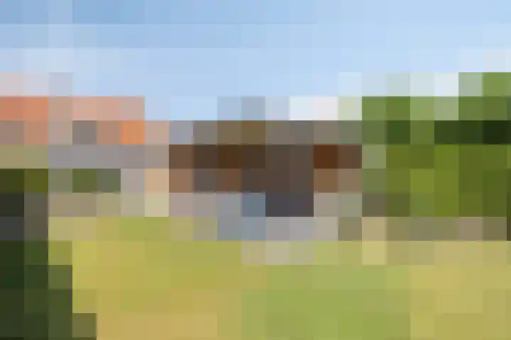 Venstraat 7 Beers NB thumbnail 34