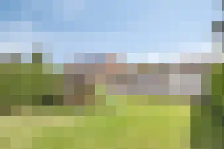 Venstraat 7 Beers NB thumbnail 35