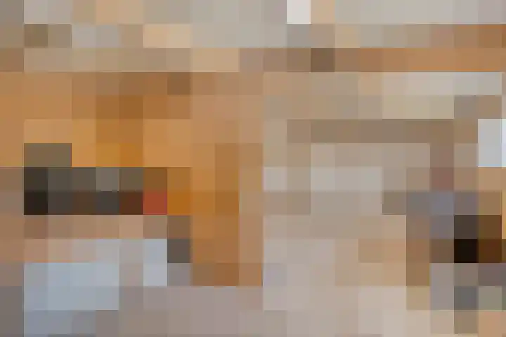 Venstraat 7 Beers NB thumbnail 37