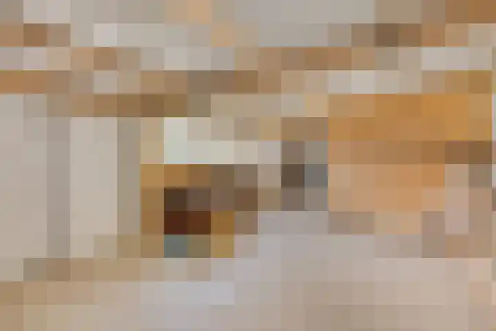 Venstraat 7 Beers NB thumbnail 38