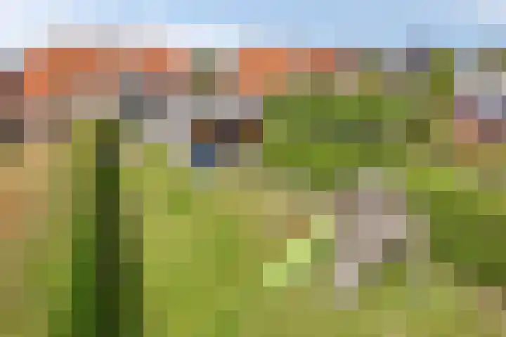 Venstraat 7 Beers NB thumbnail 39