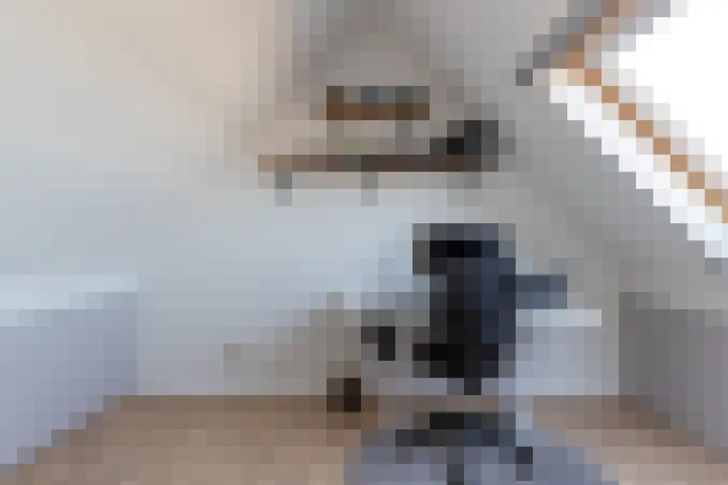 Venus 11 Wijk bij Duurstede thumbnail 30