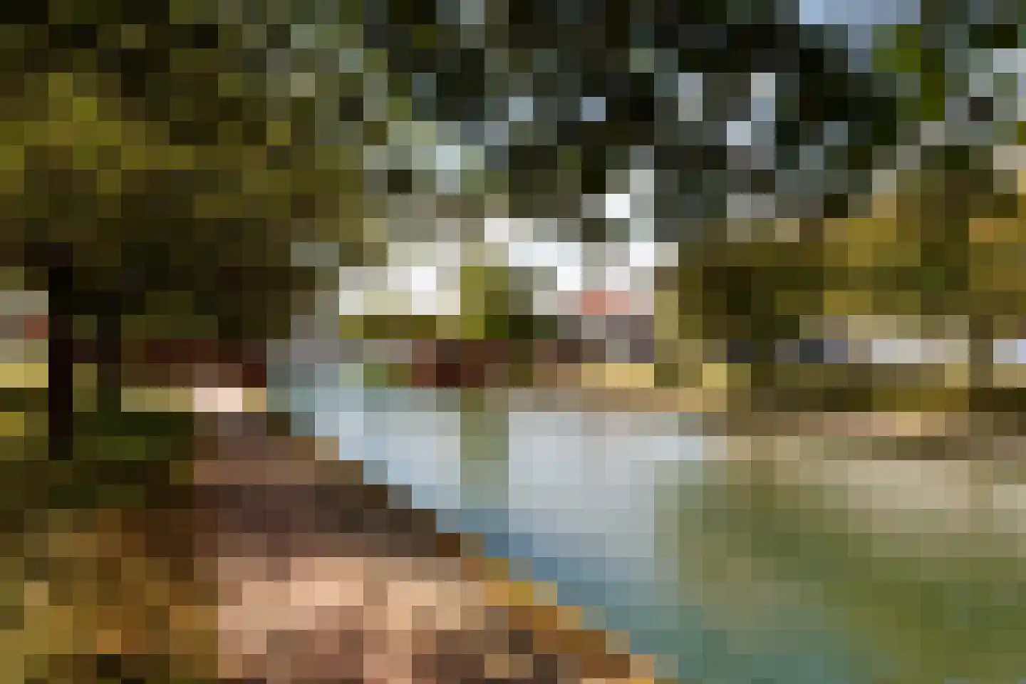 Venus 11 Wijk bij Duurstede thumbnail 36
