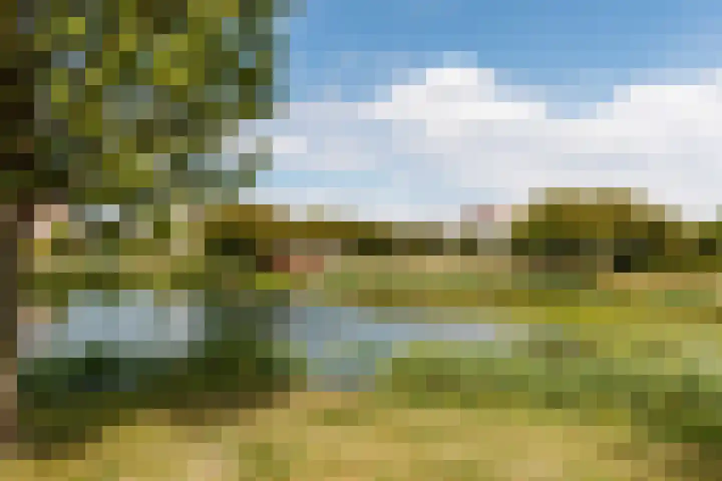 Venus 11 Wijk bij Duurstede thumbnail 37