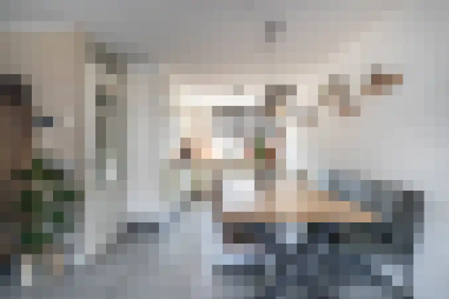 Venus 11 Wijk bij Duurstede thumbnail 8