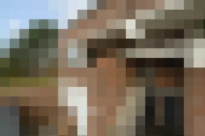 Venus 16 Katwijk thumbnail 25