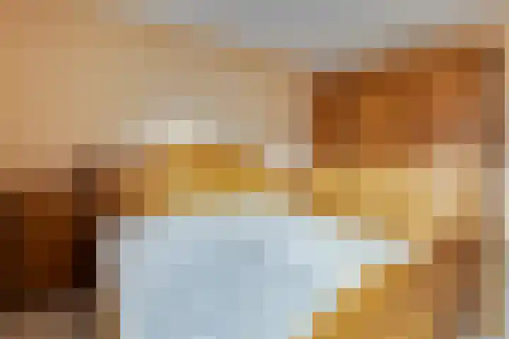 Venus 16 Lichtenvoorde thumbnail 22