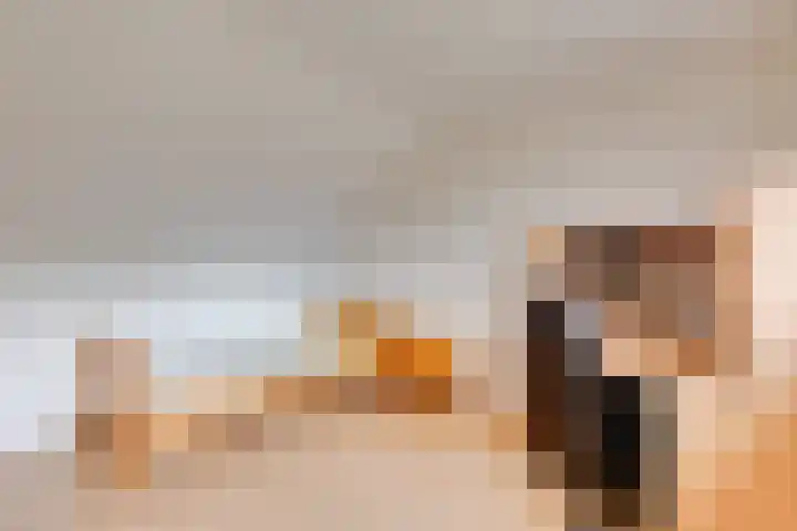 Venus 16 Lichtenvoorde thumbnail 30