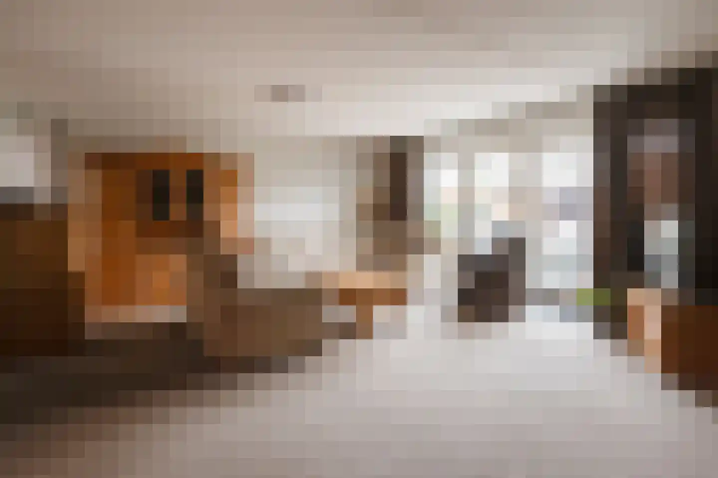 Venus 16 Wijk bij Duurstede thumbnail 10