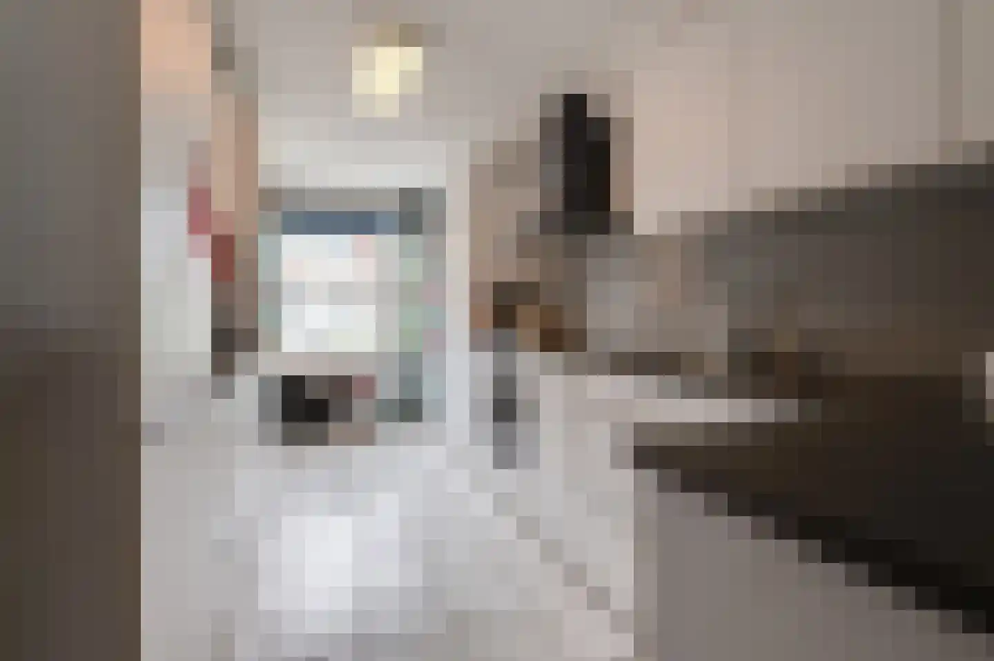 Venus 16 Wijk bij Duurstede thumbnail 15