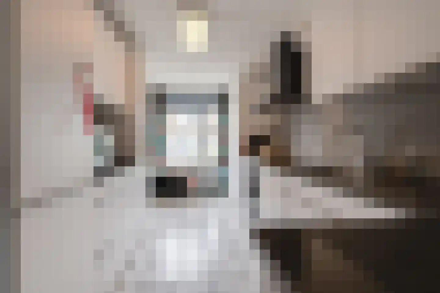 Venus 16 Wijk bij Duurstede thumbnail 16